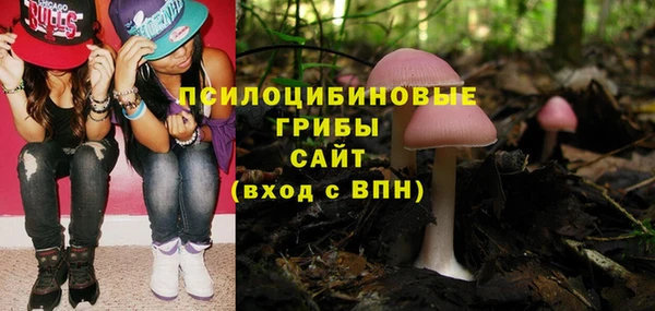 бутират Пестово